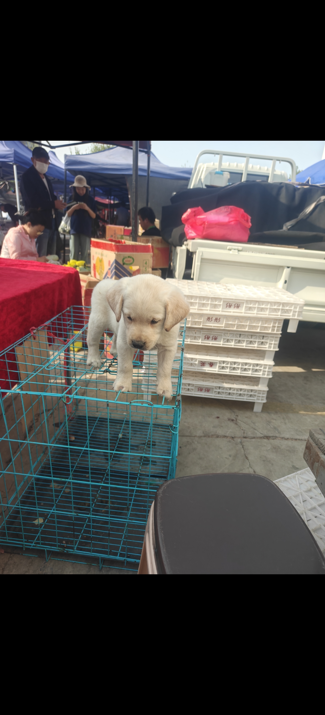 给拉拉宝宝我新家